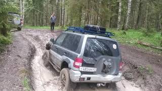 Два пинина в грязи( pinin in the mud)