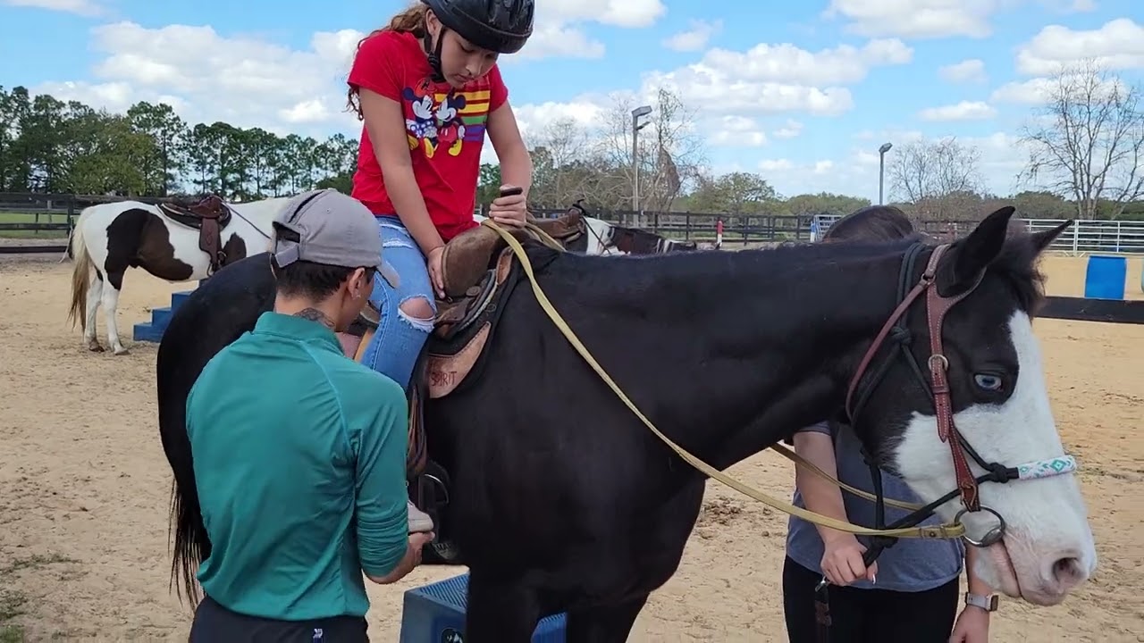 Dreamcatcher horse rescue YouTube