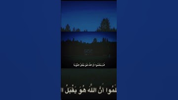 #quran #اكسبلور #المصحف #عبدالرحمن_مسعد #القرآن_الكريم #قرآن #تلاوة_خاشعة