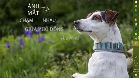 Hai April | Đếm Giá Trị Duy Nhất Trong 1 Cột  Bao Gồm Ô Trống