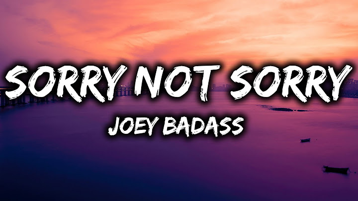 Joey Bada$$ - Sorry Not Sorry (Lyrics)