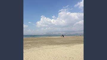 Sunny Day
