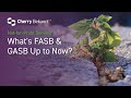2021 Virtual Not-for-Profit Seminar: FASB and GASB Overview