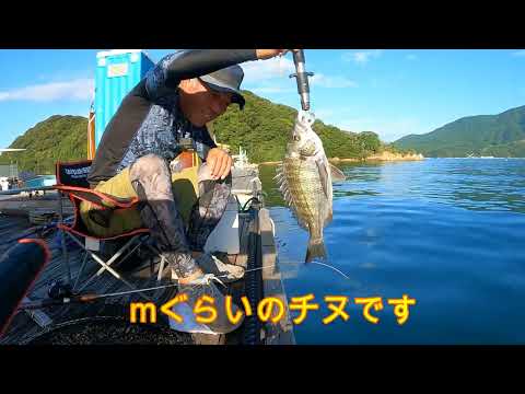 朝からいそがしいイカダ釣り