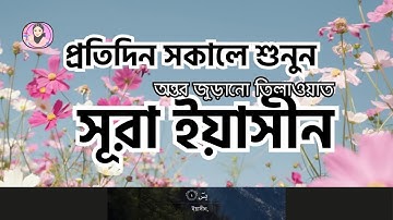 প্রতিদিন সকালে শুনুন সূরা ইয়াসীন سورة يس Surah Yasin সকালের সেরা আমল By ALAA AQEL