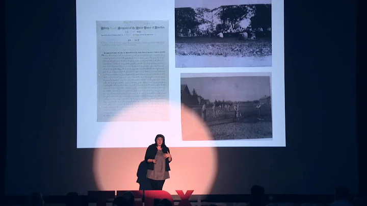 TEDxLansing-Alis...  Gass-Art in Strange Places: N...