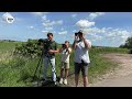 Zeldzame arendbuizerd trekt vogelaars naar Wynserpolder bij Aldtsjerk