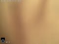 1512 n baroness ps