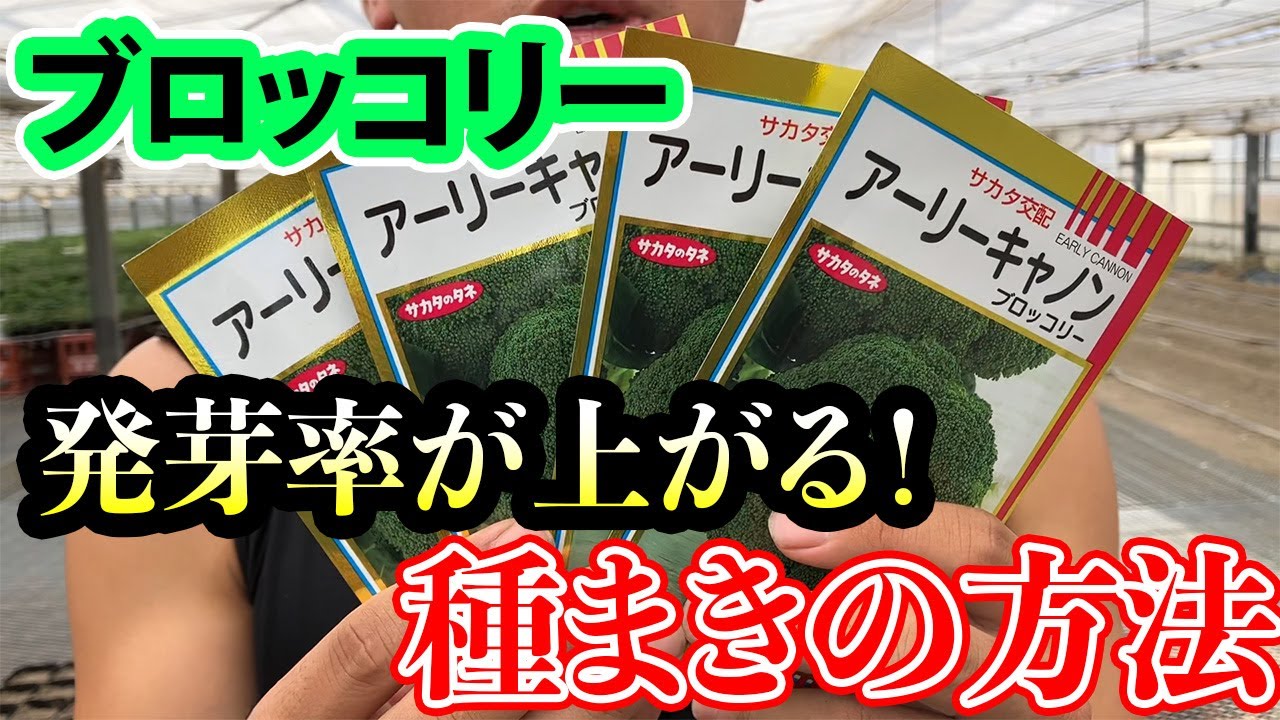 Broccoli] How to sow seeds. We'll teach you how to increase