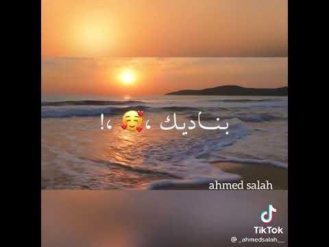 واحشني لقاك بالي مشغول