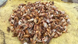 Vietnam street food - Cooking 1000 Sea Crabs for 4 People Family Dinner Meal in Vietnam