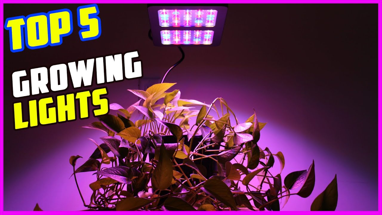 TOP 5 Best Lights for Growing 2026