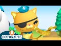 Octonauts - Eel Ordeal & The Giant Jelly | Cartoons for Kids | Underwater Sea Education