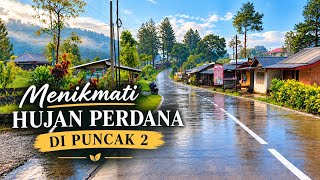 Download lagu First Rain at Puncak 2 | A Serene Atmosphere Accompanied by THUNDERCLAPS🌩⚡️