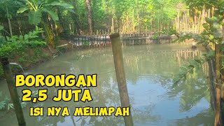 BORONG KOLAM KECIL GAK NYANGKA SAMA ISI NYA ‼️ MANCING BORONGAN GURAME,BAWAL,IKAN MAS,PATIN,NILA