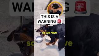 This is a warning and this dog is being very clear.