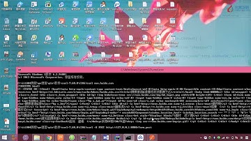 第119节 go的gin框架post请求的实战 【疯奇社】
