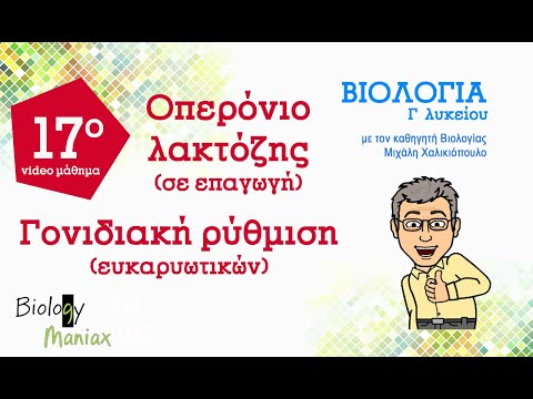 17. Οπερόνιο Λακτόζης σε επαγωγή. Γονιδιακή ρύθμιση ευκαρυωτικών  (7 /2ο κεφ.) - Βιολογία  Γ λυκείου