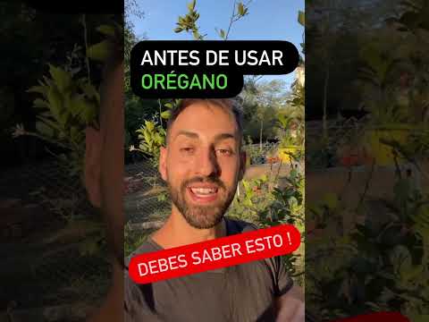 Video: 9 formas de secar hierbas