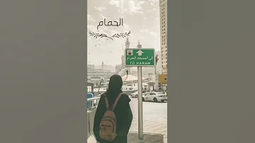 ليتني في سرب الحمامي Shorts 