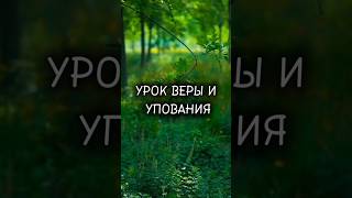 Урок веры и упования