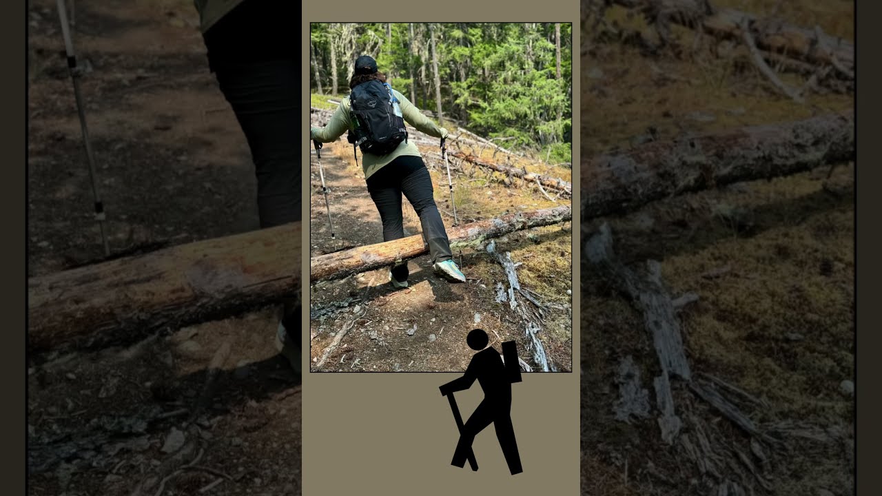 Pemberton Hike Nairn Falls Lumpy S Epic
