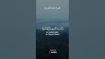 فاكهة ونخل وحب وعطر | بآلاء الرحمن نتفكر #الرحمن #سورة_الرحمن #تلاوة_خاشعة #القرآن