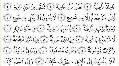 88 Al Ghashiya سورة الغاشية