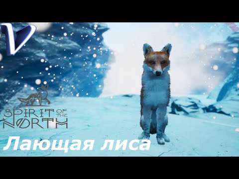 Видео: Spirit of the North 2K | 1440p ➤ Прохождение #1 ➤ ЛАЮЩАЯ ЛИСА