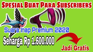 suara walet inap original andalan para juragan walet