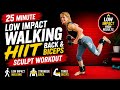 Amazing 🔥 Low Impact HIIT Cardio Back and Biceps Workout