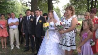 Свадьба до банкета 2011 август Свадьба до банкета 2011 август