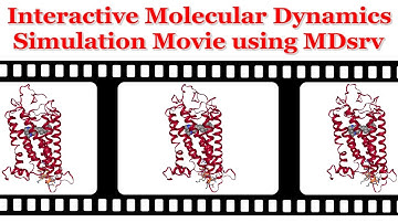Interactive Molecular Dynamics Simulation Movie using MDsrv #bioinformatics #molecular #dynamics