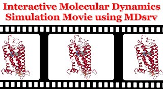 Interactive Molecular Dynamics Simulation Movie using MDsrv #bioinformatics #molecular #dynamics