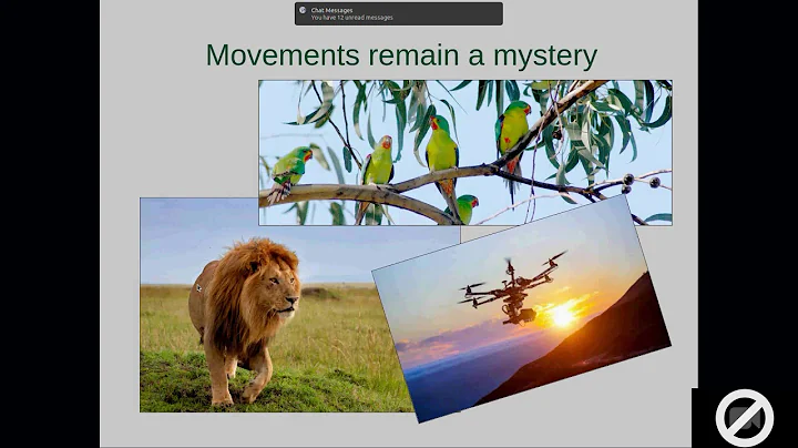 Wildlife Drones: A Webinar with Dr. Debbie Saunders