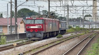 2026/07/27 単8283レ EF65 2090+ムドEH500-60 OM入場 スマホが高温になってしまいビデオ撮りながら連写したので負荷に耐えられず固まってしまいました😢