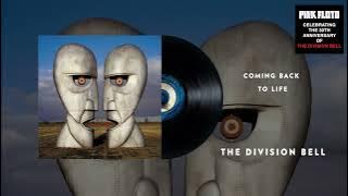 Pink Floyd - Coming Back To Life (The Division Bell 30th Anniversary  Audio)