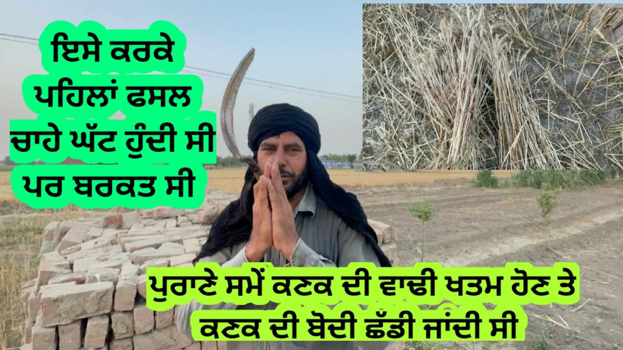 ਪਹਿਲਾਂ ਫਸਲ ਚਾਹੇ ਘੱਟ ਹੁੰਦੀ ਸੀ ਪਰ ਬਰਕਤ ਹੁੰਦੀ ਸੀ ਕਿਉਂਕਿ ਗਰੀਬ ਗੁਰਬੇ ਦੇ ਹਾਮੀ ਹੁੰਦੇ ਸੀ ਕਿਸਾਨ ਬੰਦੇ।