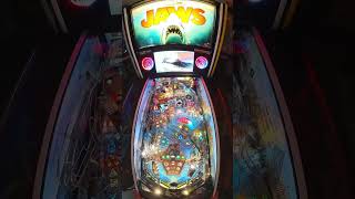 Jaws LE (Stern 2024) (SW 0.88.0)