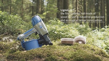 LignoLoc® -  Collated Wooden Nails