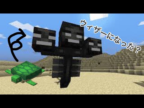 マイクラ　ウィザーになれるコマンド！