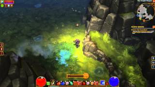 Torchlight 2 - Shadowplay Test