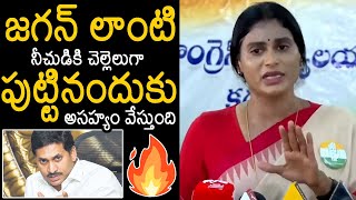 జగన్ కి చెల్లెలుగా పుట్టినందుకు అసహ్యం వేస్తుంది | YS Sharmila Shocking Comments On YS Jagan | TT