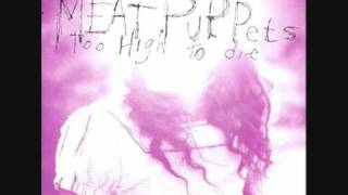 Roof With A Hole - Meat Puppets