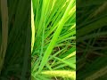 #nature #naturelovers