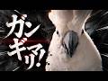 ママの羽ほぐしで完全に仕上がるゆきまる氏