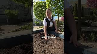 ПРАВИЛЬНО сажаем луковичные В МАЕ.