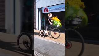 Wenn der Tretroller zum Lastenrad wird