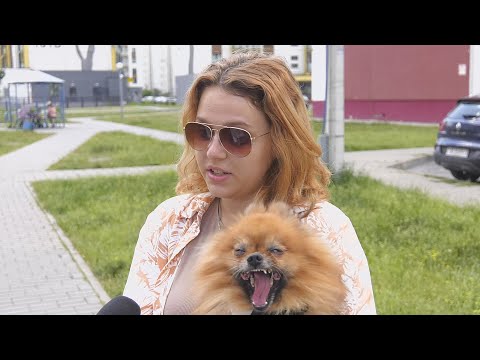 480 рублей за прогулку. В такую сумму может обойтись выгул собаки без намордника