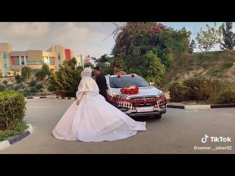 تامر حسني عشنا وشفنا